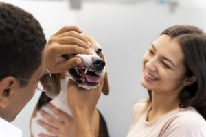 Pet Care Tips