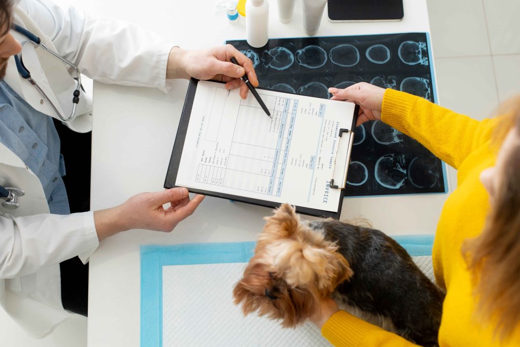 10 Affordable Pet Care Services