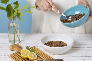 Homemade Cat Food Recipes