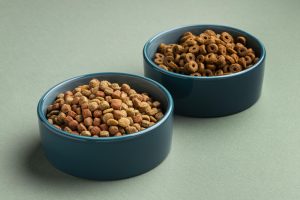 Top 10 Best Dog Food Brands
