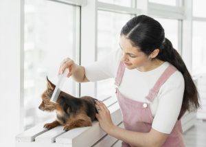 DIY Pet Grooming