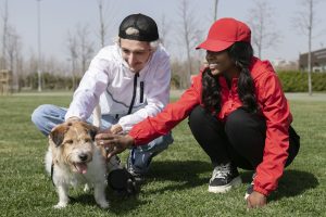 Pet Training Courses
