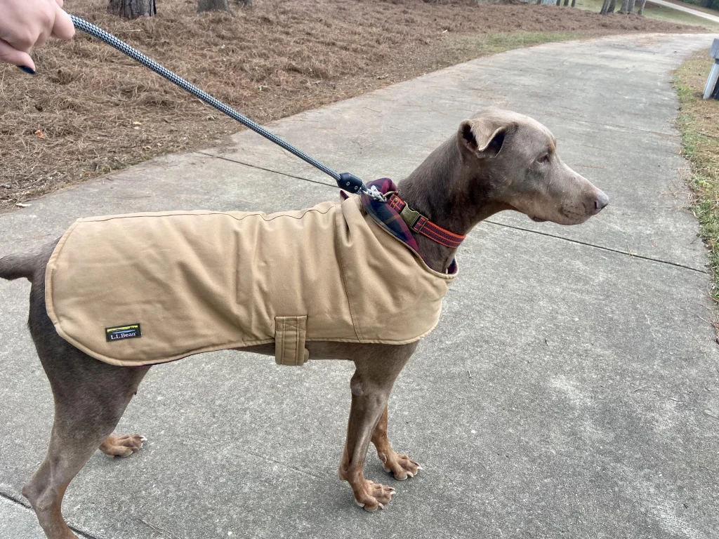 Waterproof Dog Coat