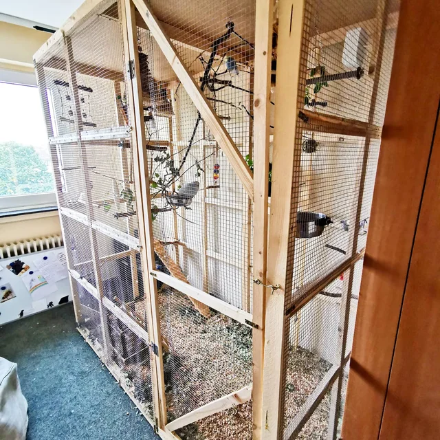 large birdcage