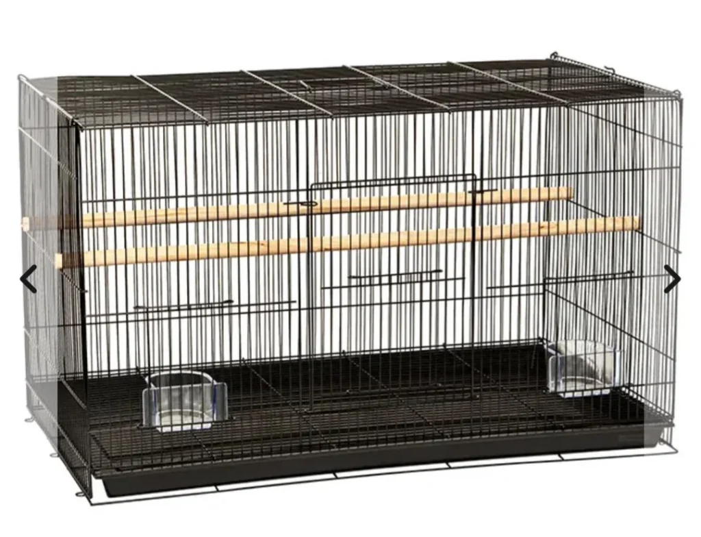 large birdcage