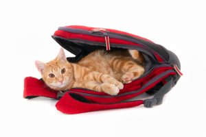 Cat Carrier Backpack