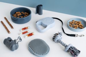 Pet Travel Accessories