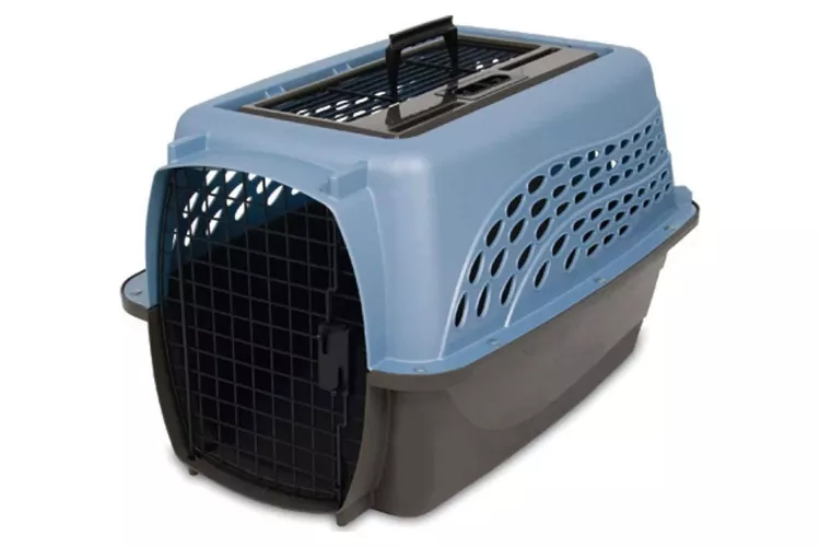 Pet Travel Accessories