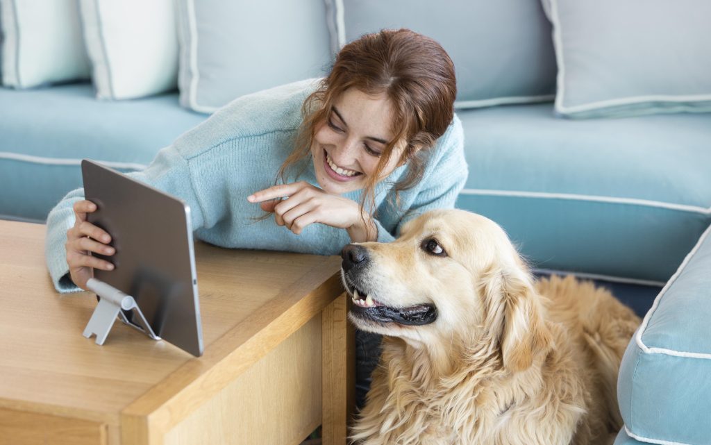 Exotic Pet Insurance