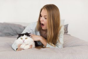 Stop Cat Hair Loss