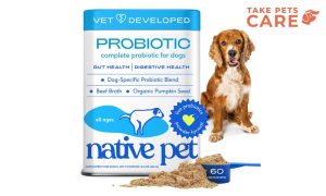 Native Pet Probiotic